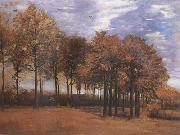 Autumn Landscape (nn04)